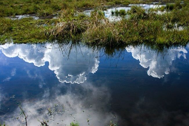 TRANQUIL SCENE OF LAKE