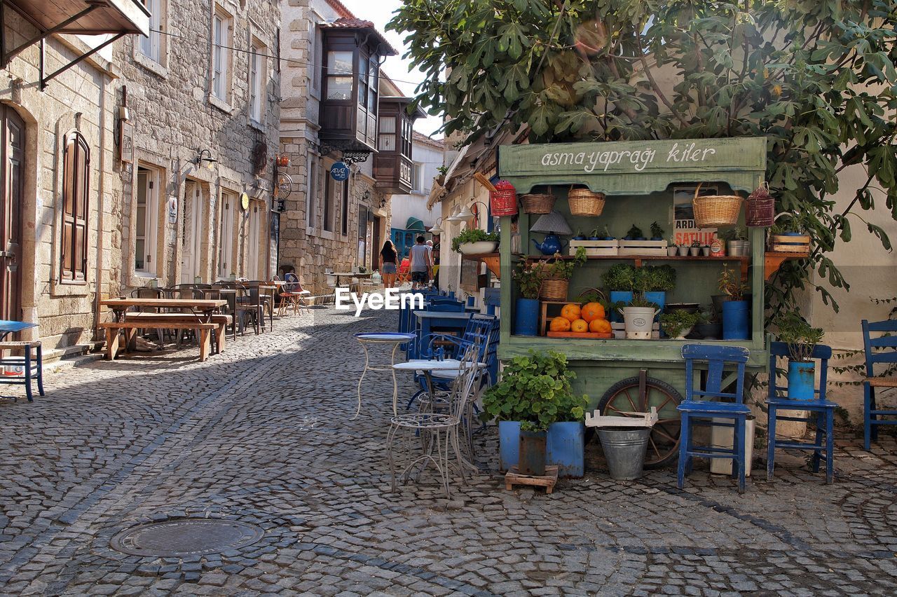 POTTED PLANTS ON SIDEWALK BY BUILDING