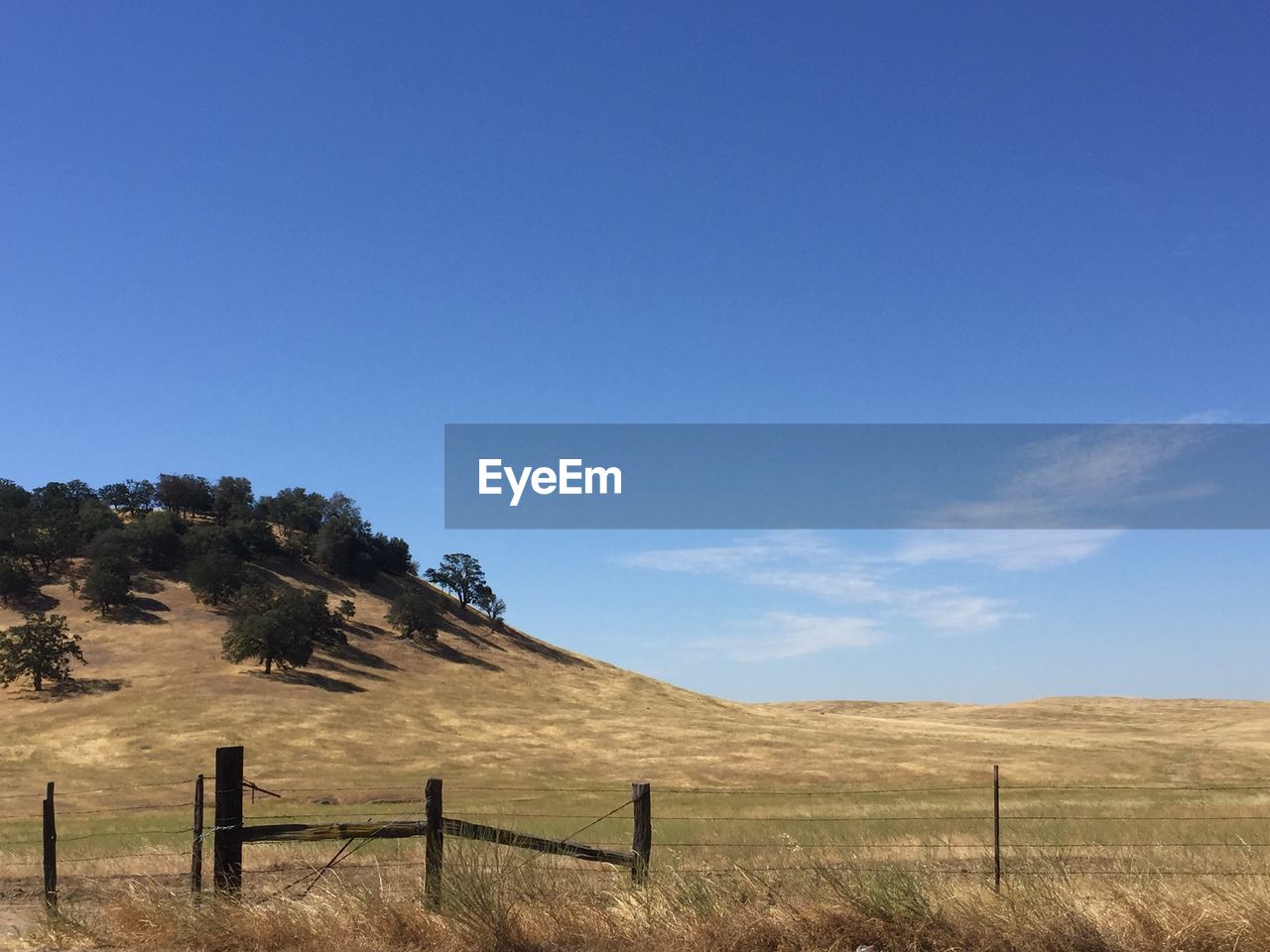 SCENIC VIEW OF AGRICULTURAL FIELD AGAINST BLUE SKY