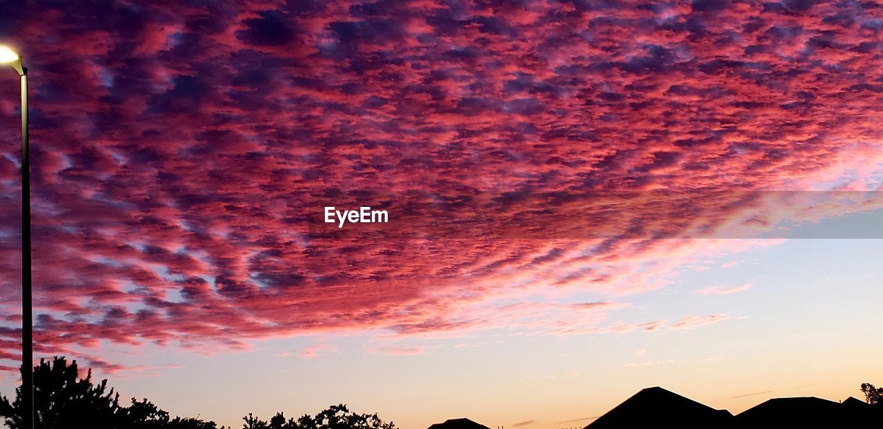 LOW ANGLE VIEW OF SILHOUETTE TREES AGAINST ORANGE SKY