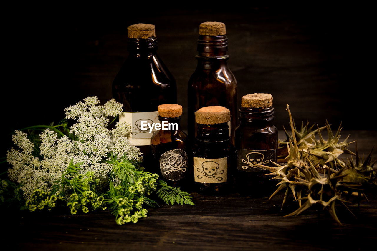 PLANTS IN GLASS CONTAINER ON TABLE AT HOME