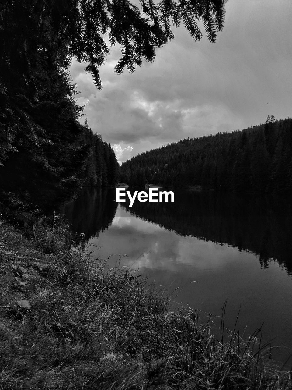 SCENIC VIEW OF LAKE AND TREES AGAINST SKY