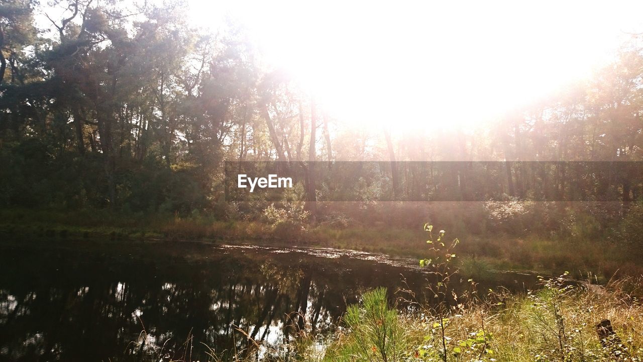 Scenic view of lake and trees against sky