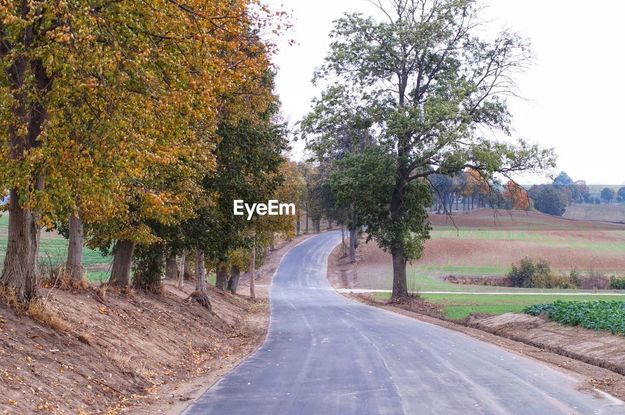 ROAD AMIDST TREES AGAINST SKY