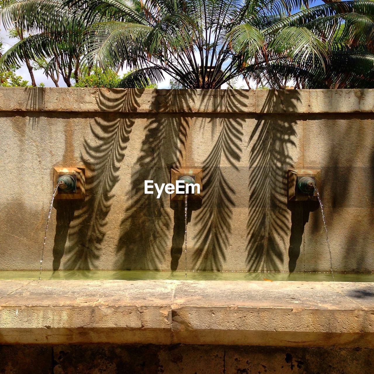 Water coming out from faucets mounted in wall