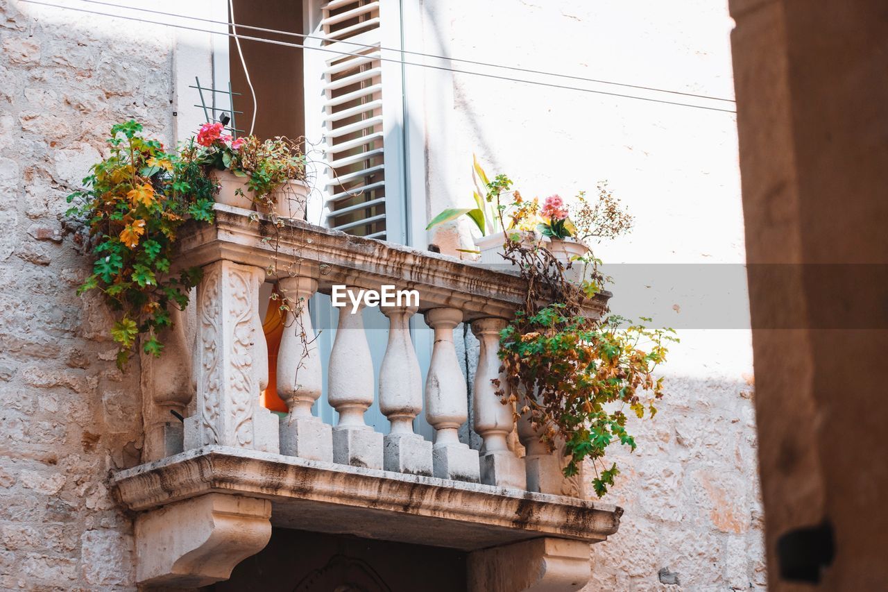 architecture, balcony, flowering plant, plant, flower, built structure, building exterior, nature, window, house, no people, potted plant, day, building, home, wall, wall - building feature, outdoors, residential district, flowerpot, freshness, growth, wood, window box, beauty in nature, decoration
