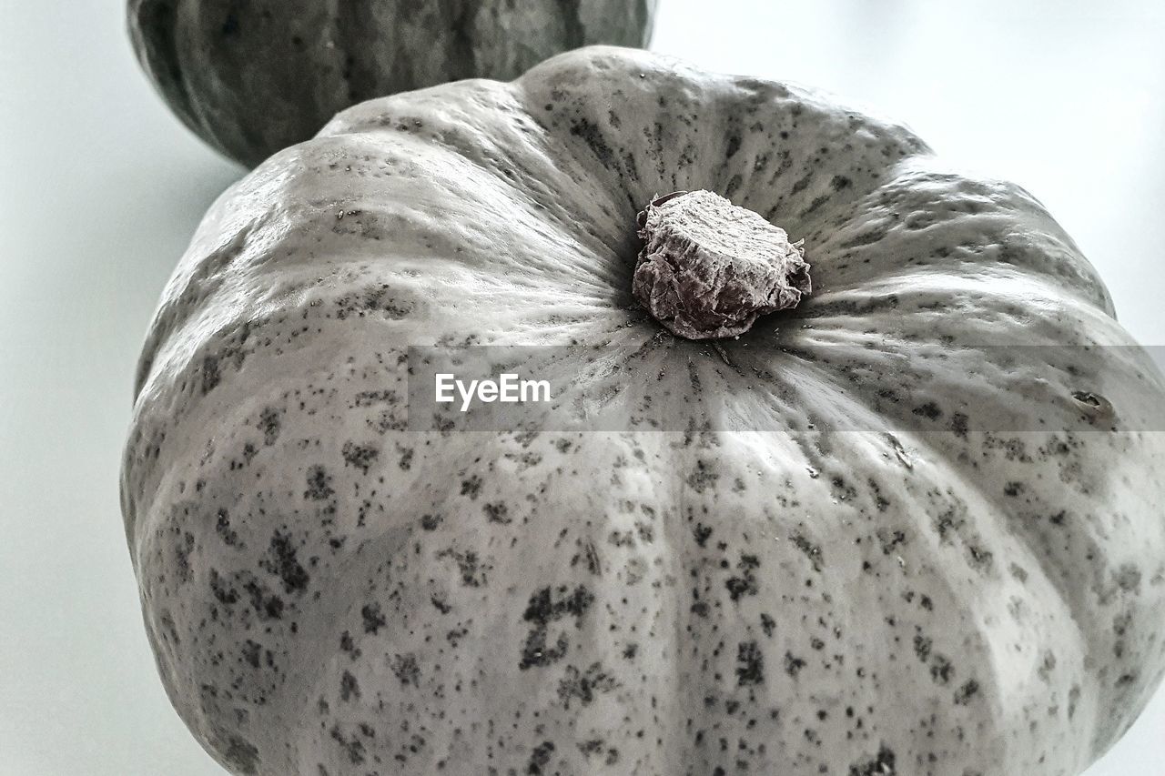 CLOSE-UP OF PUMPKIN AGAINST WHITE WALL