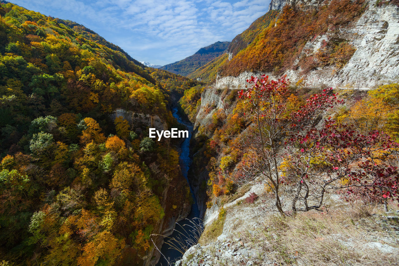 scenics - nature, autumn, beauty in nature, mountain, nature, environment, landscape, plant, land, tree, no people, mountain range, rock, tranquility, multi colored, sky, travel, non-urban scene, tranquil scene, travel destinations, day, forest, outdoors, wilderness, water, valley, ridge, leaf, cloud, idyllic, trail, tourism, flower, yellow