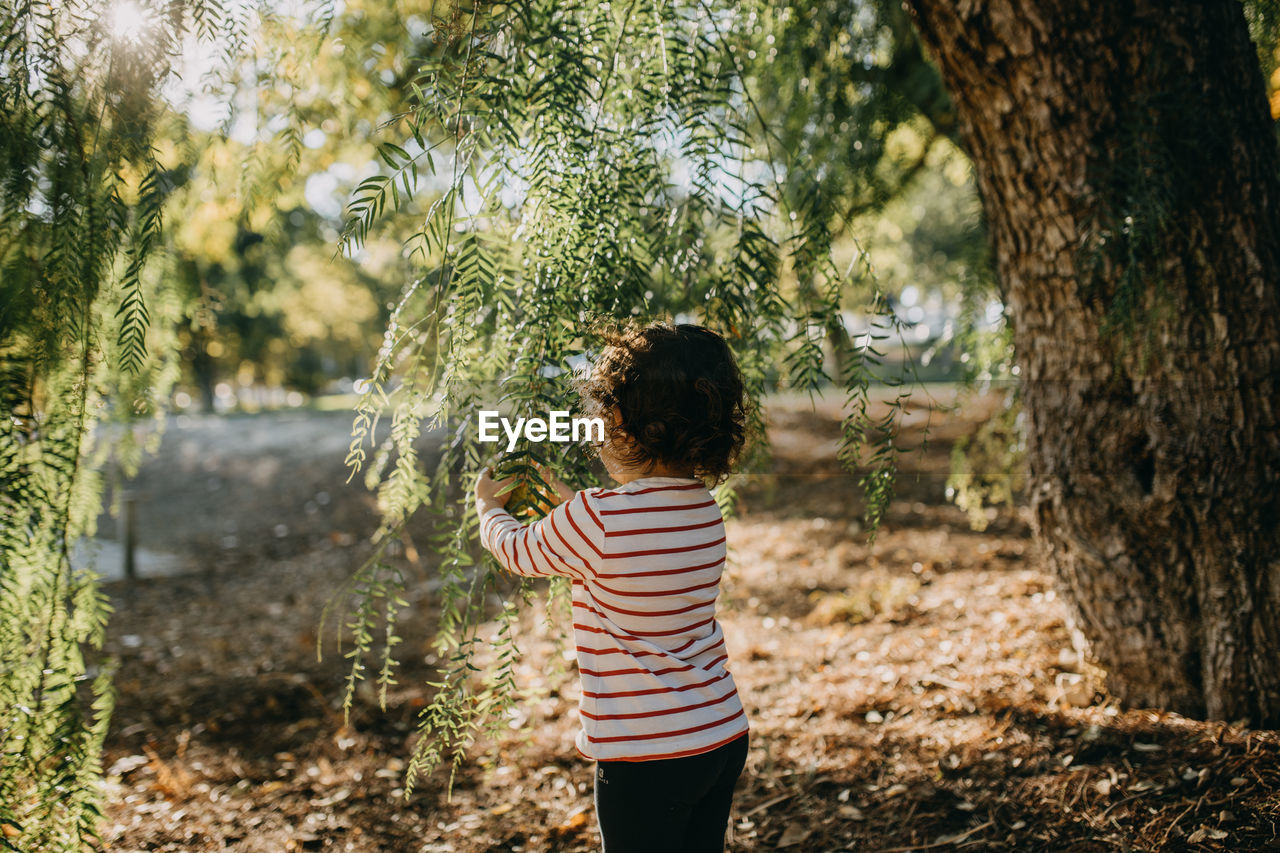 Rear view of child standing by tree trunk in forest