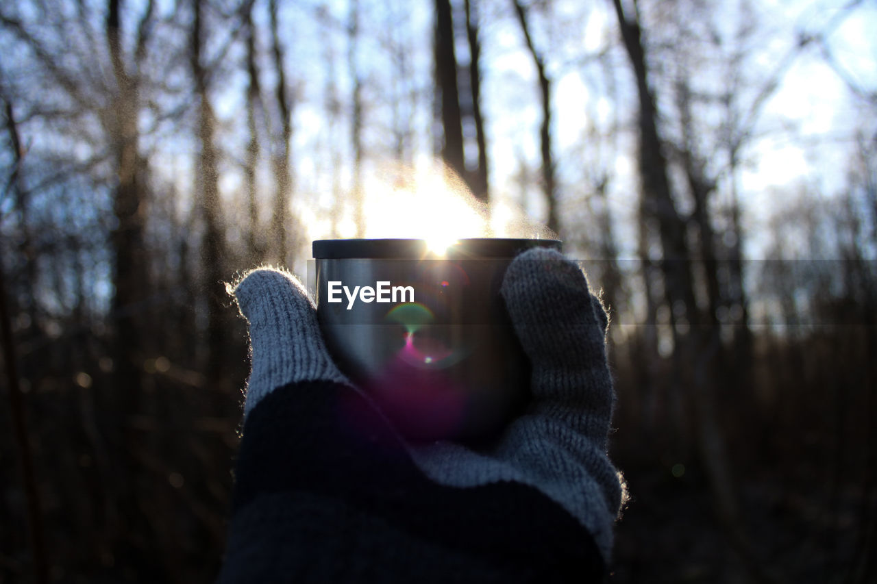 CLOSE-UP OF HAND HOLDING ICE CREAM CONE ON BARE TREES