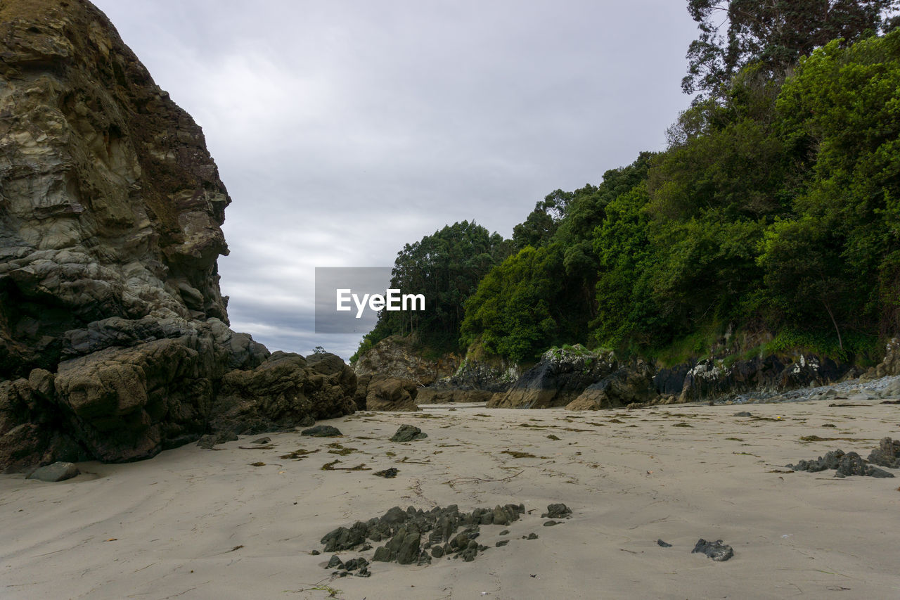 land, coast, sea, rock, water, sky, beach, nature, shore, tree, sand, cloud, plant, environment, beauty in nature, scenics - nature, body of water, ocean, landscape, no people, travel destinations, terrain, travel, cliff, tranquility, bay, outdoors, non-urban scene, geology, rock formation, tourism, coastline, holiday, trip, vacation, day, tranquil scene, mountain, overcast