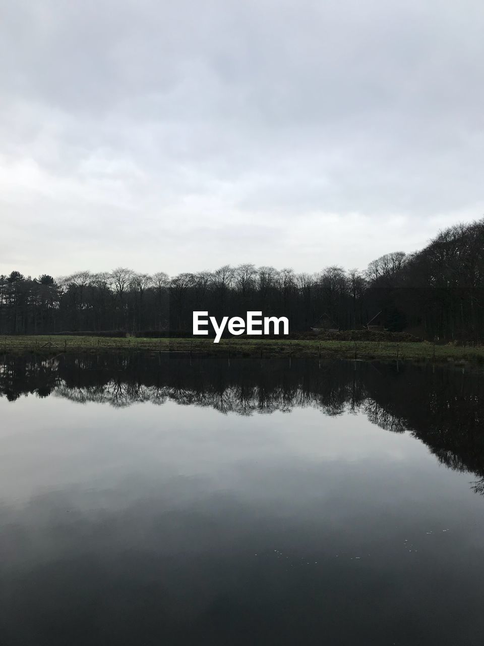 SCENIC VIEW OF LAKE BY TREES AGAINST SKY