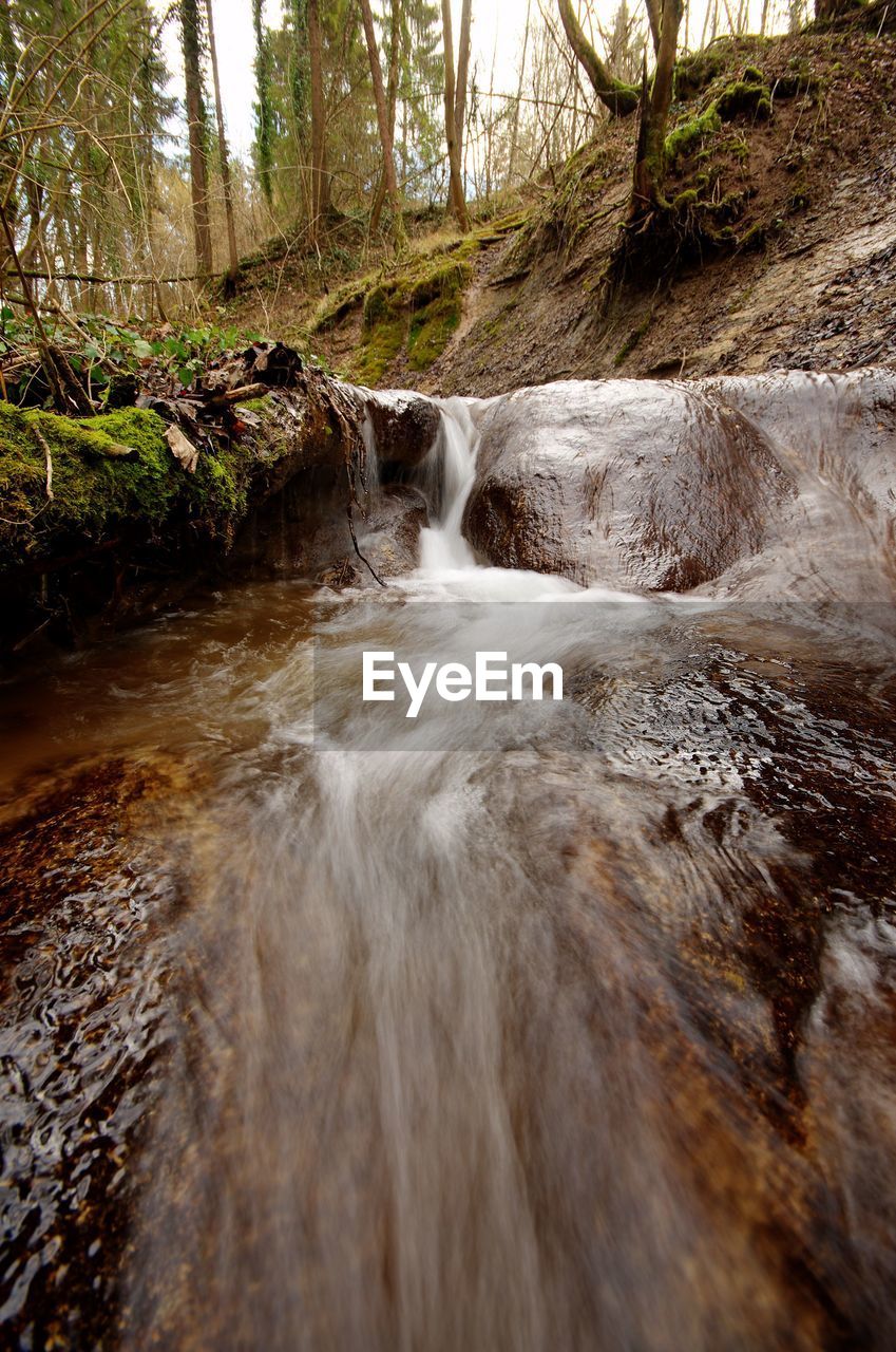 Low angle view of waterfall in forest