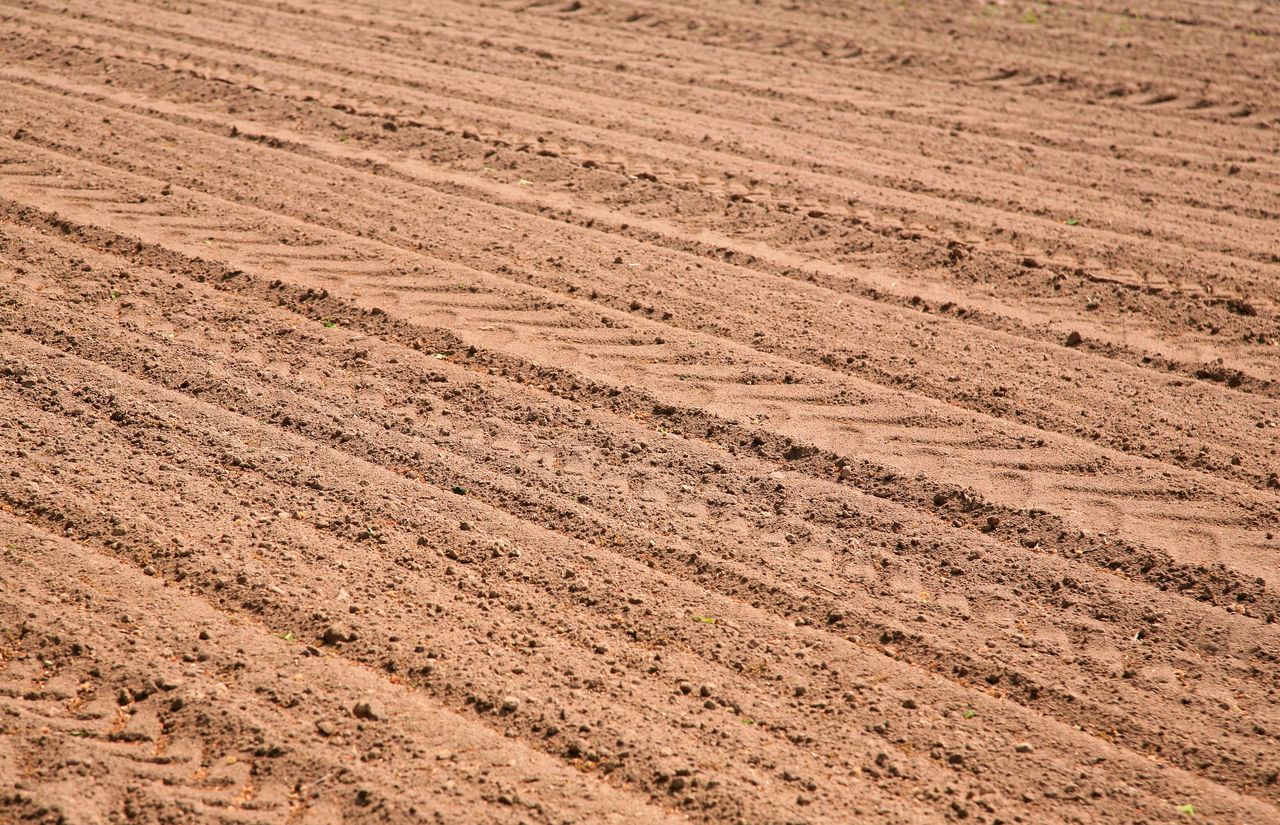 HIGH ANGLE VIEW OF TIRE TRACKS