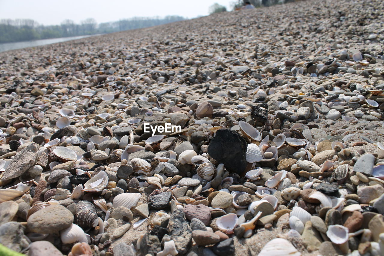 PEBBLES AT BEACH