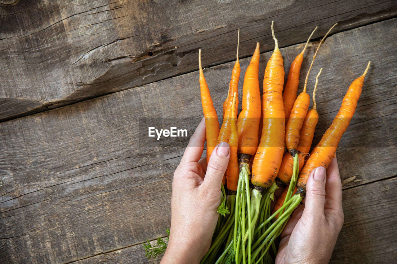 Female hands hold ripe juicy carrots over a wooden kitchen table. 