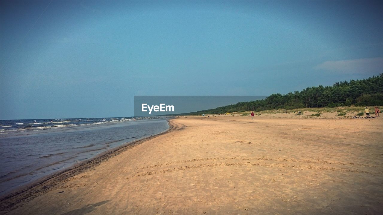 SCENIC VIEW OF BEACH AGAINST CLEAR SKY