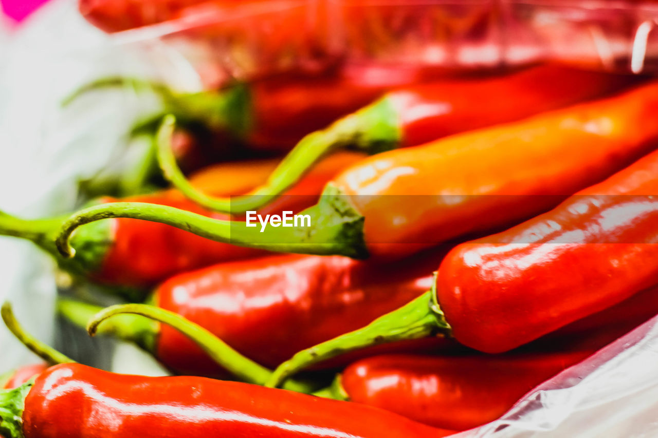 CLOSE-UP OF CHILI PEPPERS