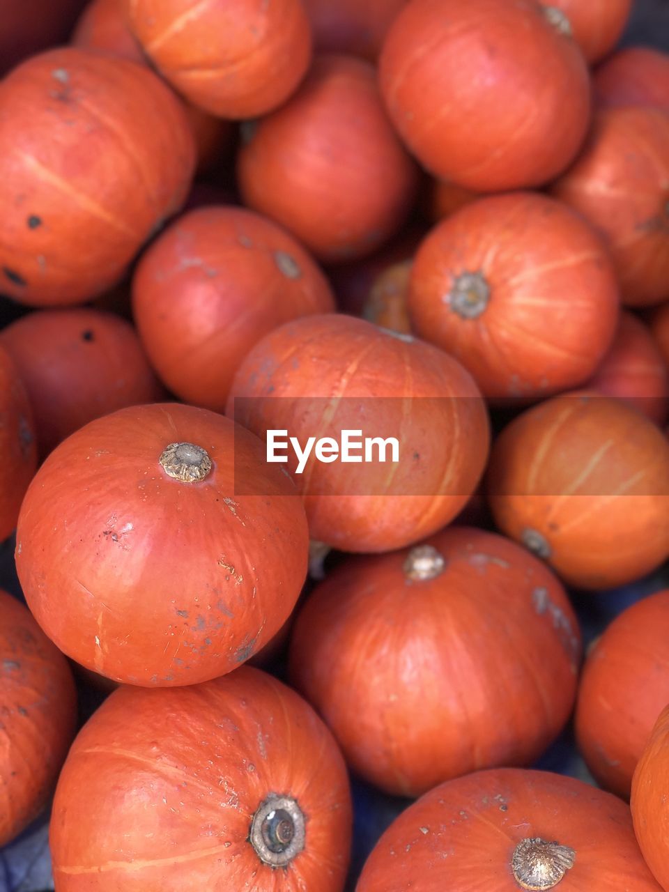 Full frame shot of pumpkins at market stall