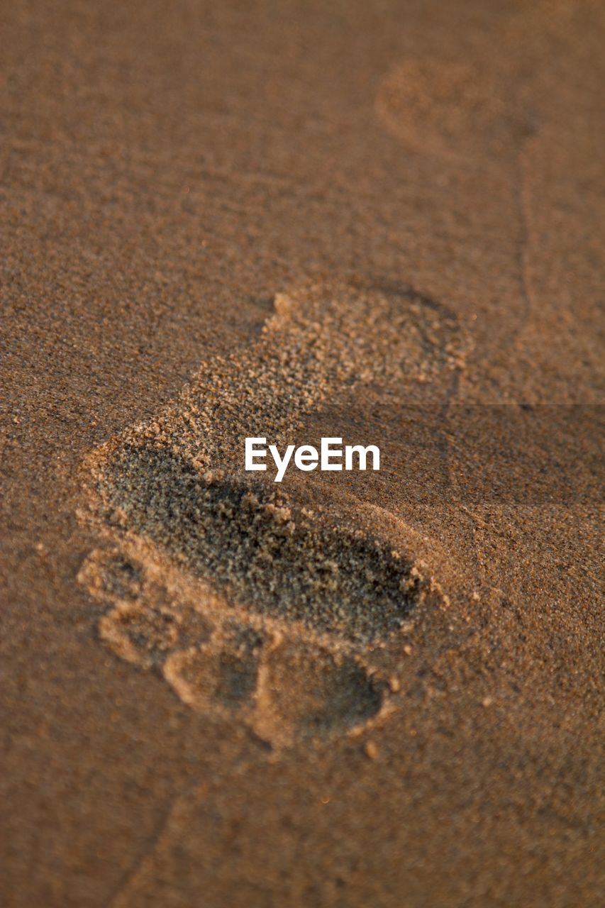 HIGH ANGLE VIEW OF FOOTPRINT ON SAND AT BEACH