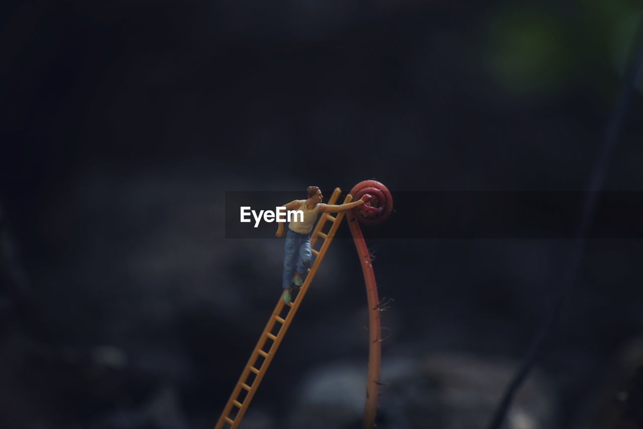 Figurine on ladder by plant