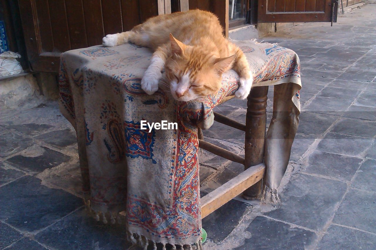 Midsection of ginger cat sleeping on table