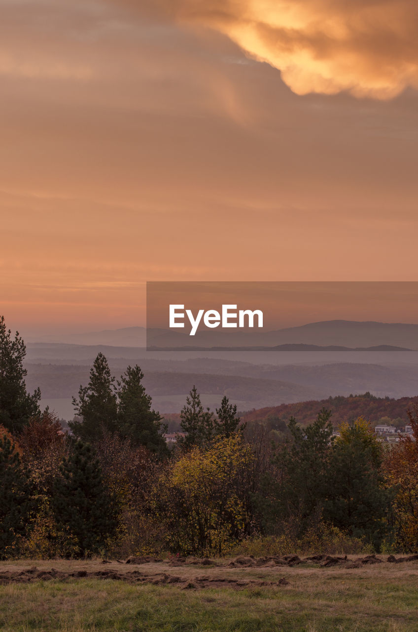 SCENIC VIEW OF TREES ON FIELD AGAINST SKY DURING SUNSET