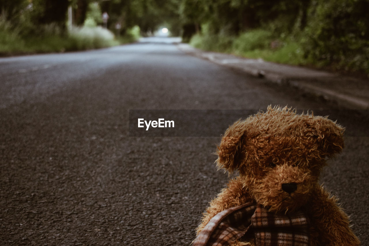 Old teddy bear sitting in road