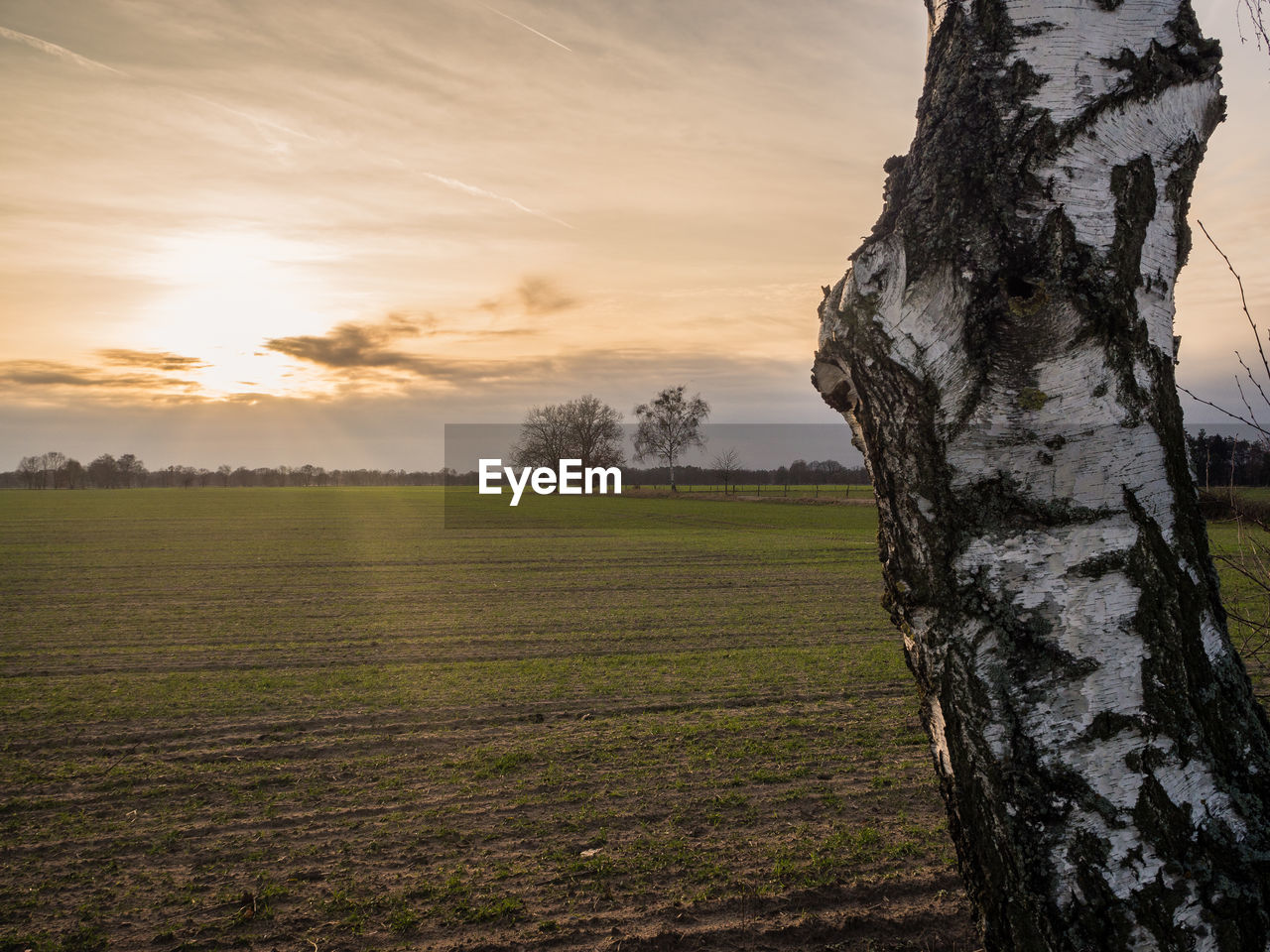 SCENIC VIEW OF FIELD DURING SUNSET