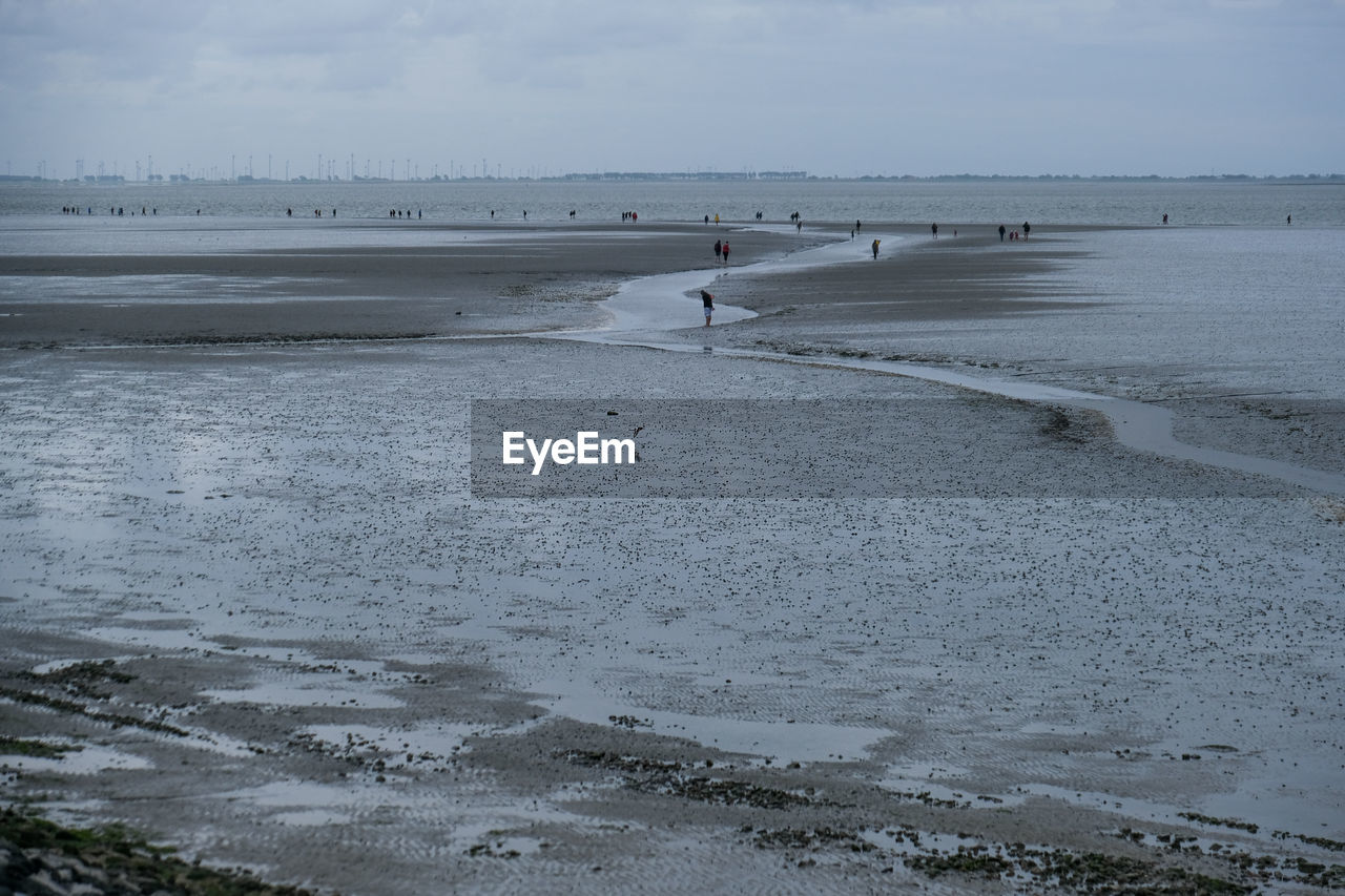 Scenic view of silhouettes walking at beach during low tide