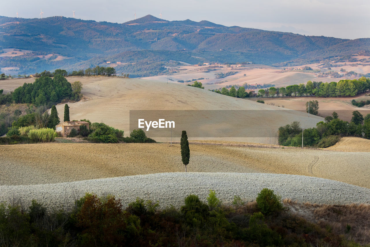 Scenic view of field against mountains