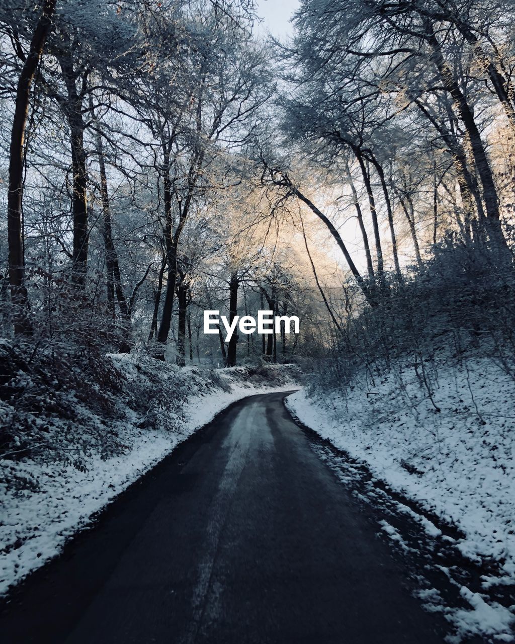 ROAD AMIDST SNOW COVERED TREES DURING WINTER