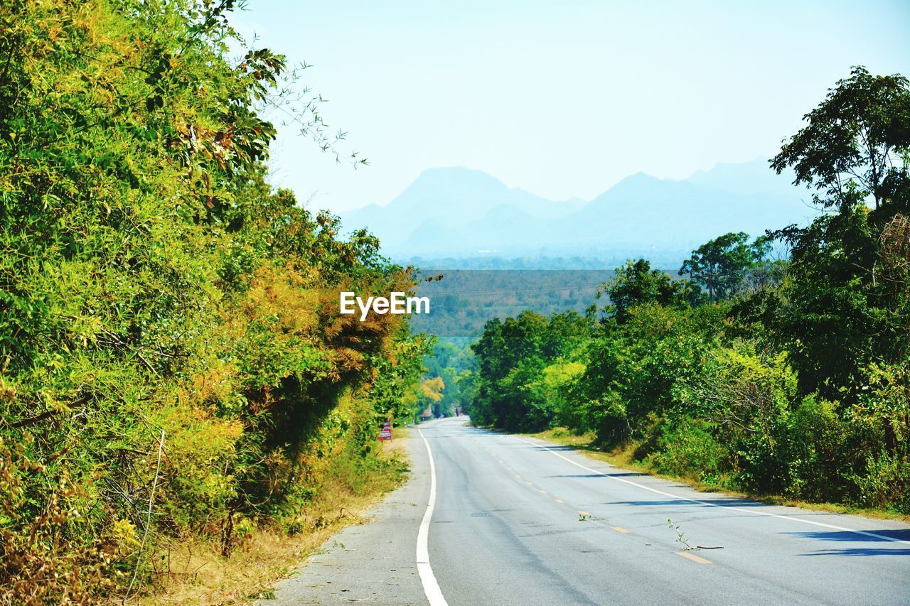 Road amidst trees against sky