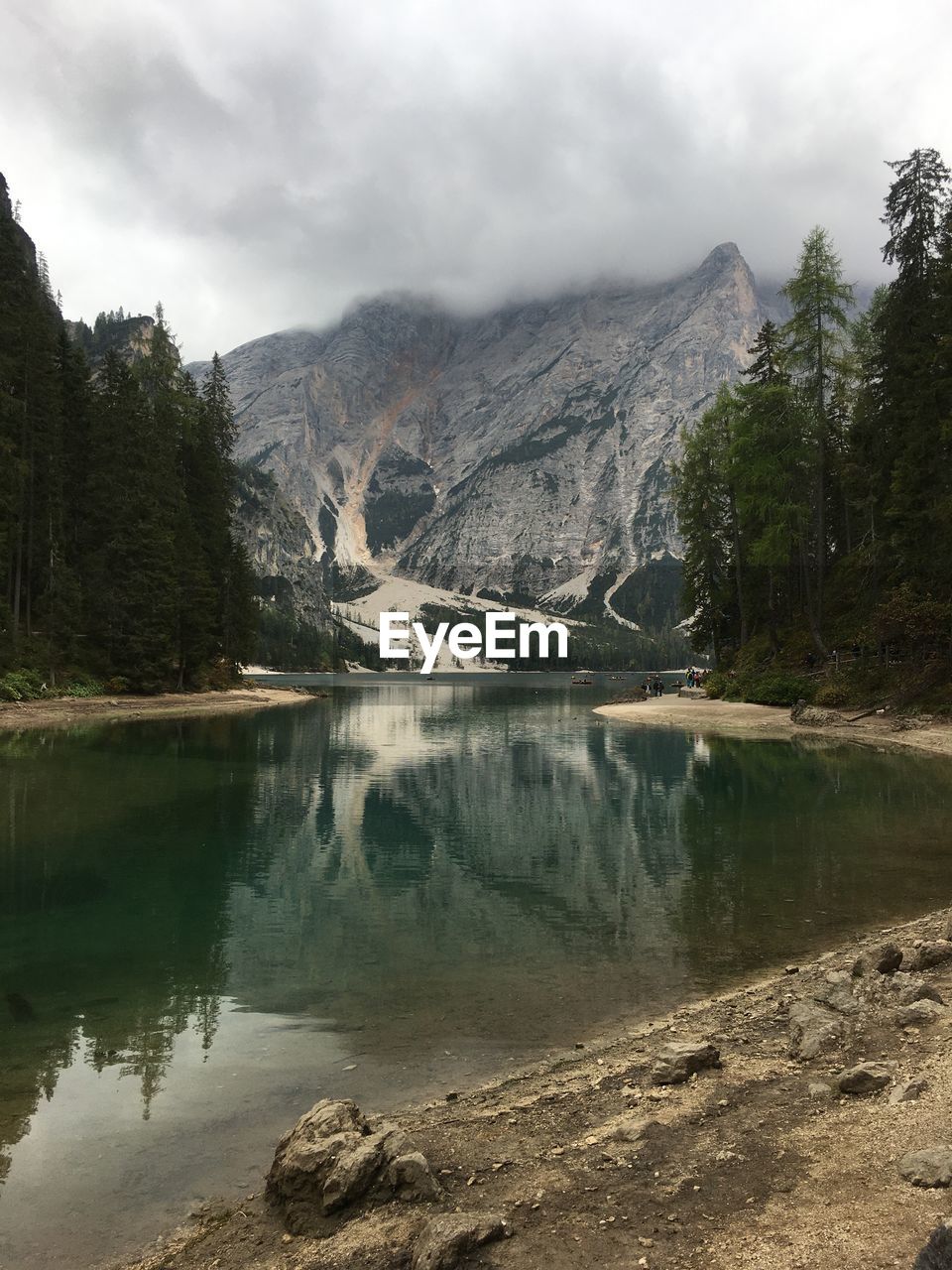 Panoramic view of bries lake in forest
