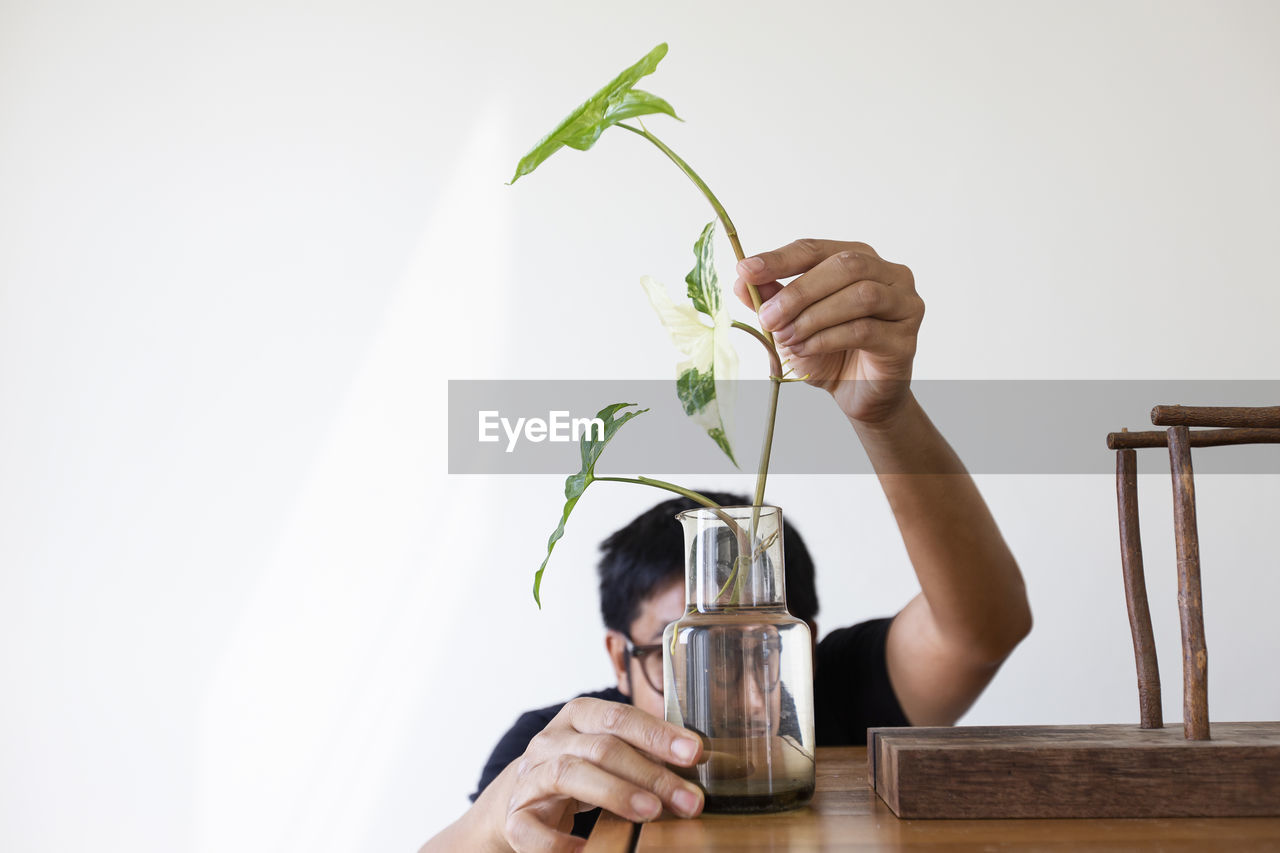 food and drink, holding, indoors, one person, nature, food, plant, adult, hand, drink, leaf, refreshment, plant part, freshness, lifestyles, copy space, houseplant, table, household equipment, healthy eating, art, wood, wellbeing, studio shot, women, drinking glass, floristry, glass, home interior