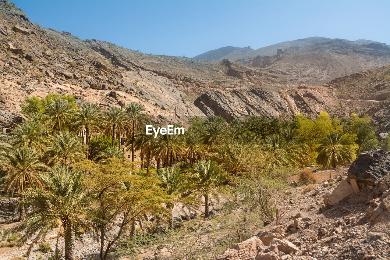 SCENIC VIEW OF DESERT AGAINST SKY