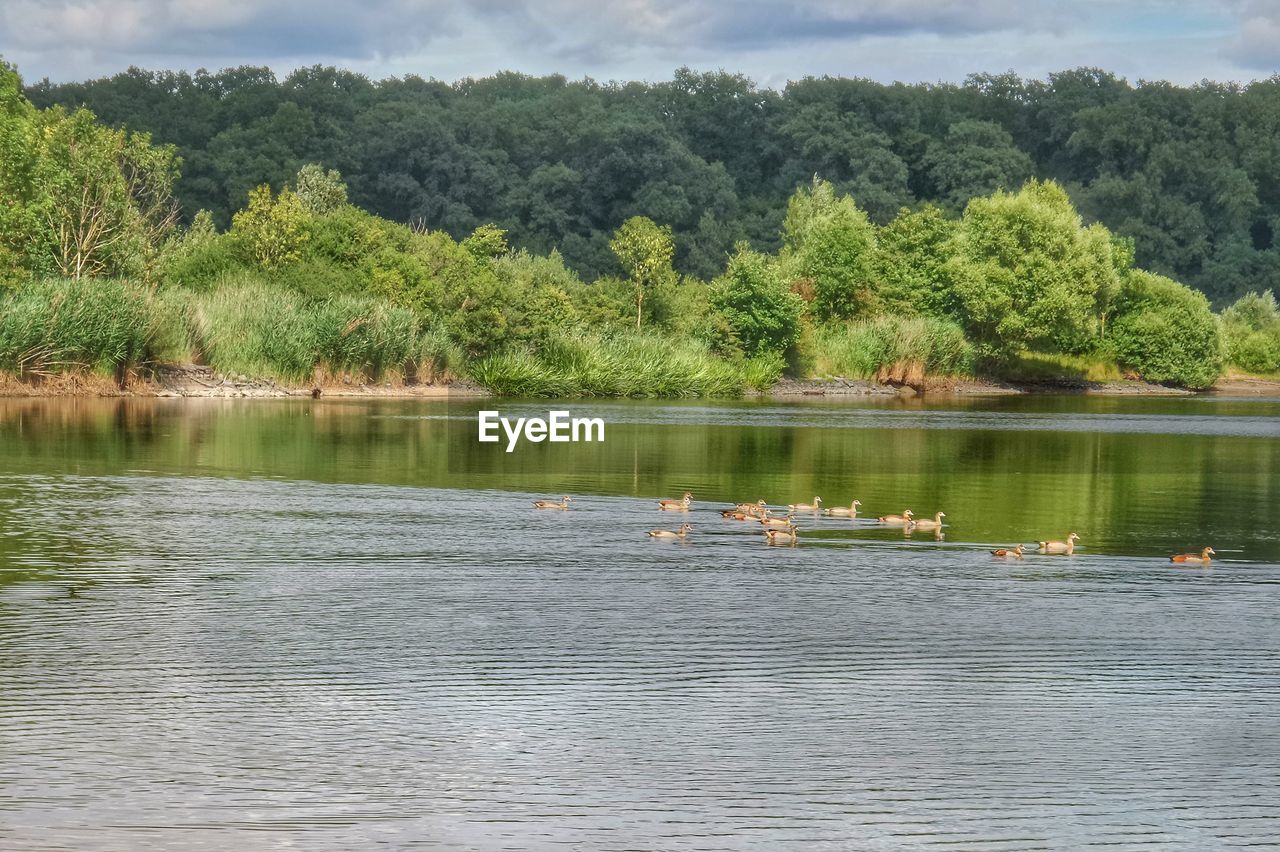 VIEW OF LAKE