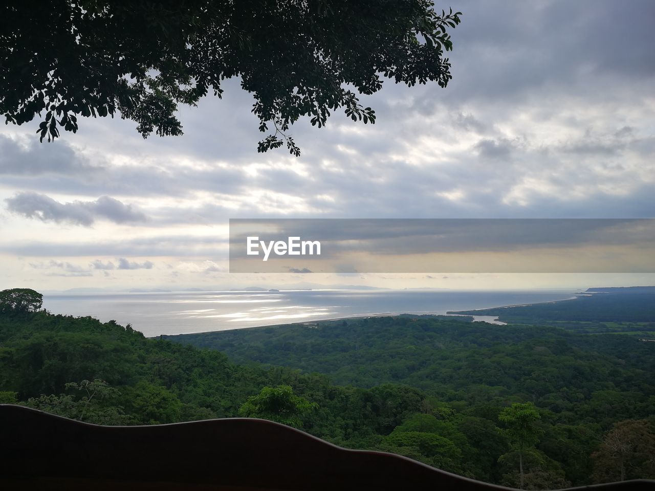 SCENIC VIEW OF LANDSCAPE AND TREES AGAINST SKY