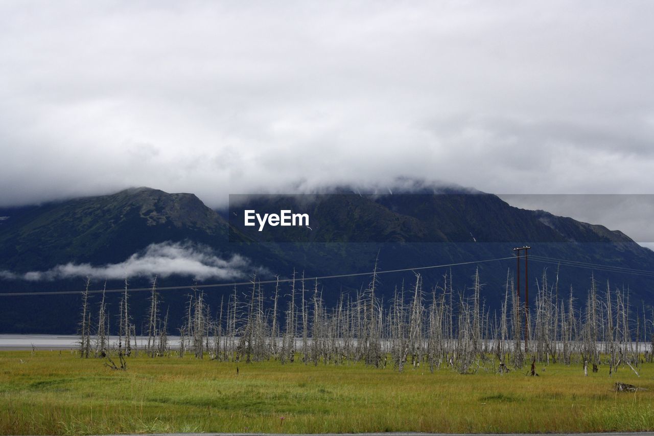 Scenic view of land and mountains against sky