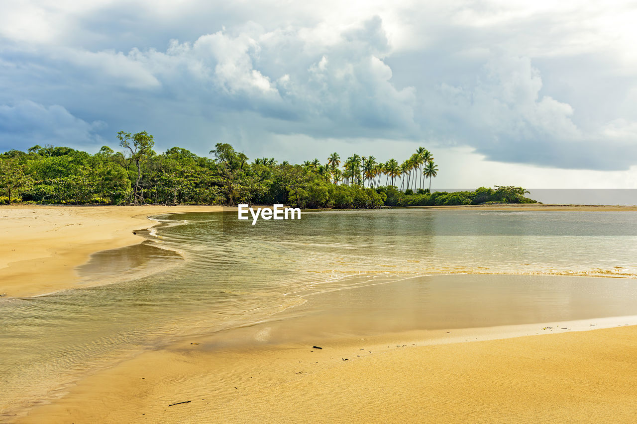 scenic view of beach against cloudy sky