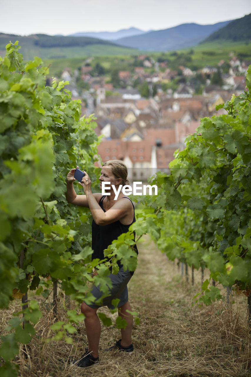 Woman photographing vineyard
