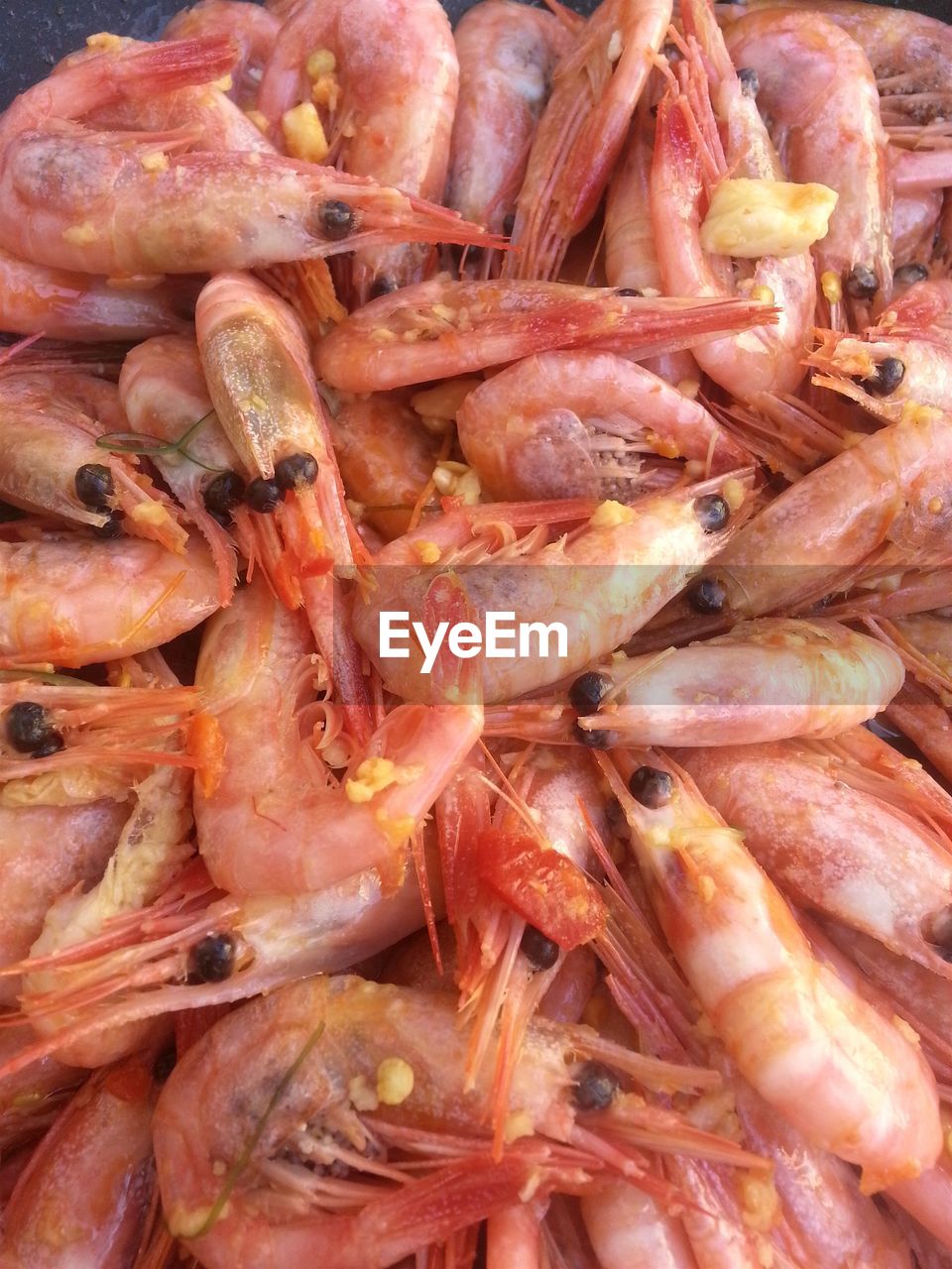 High angle view of shrimps