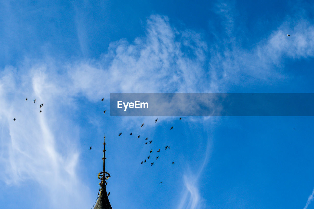 Low angle view of birds flying over temple in sky