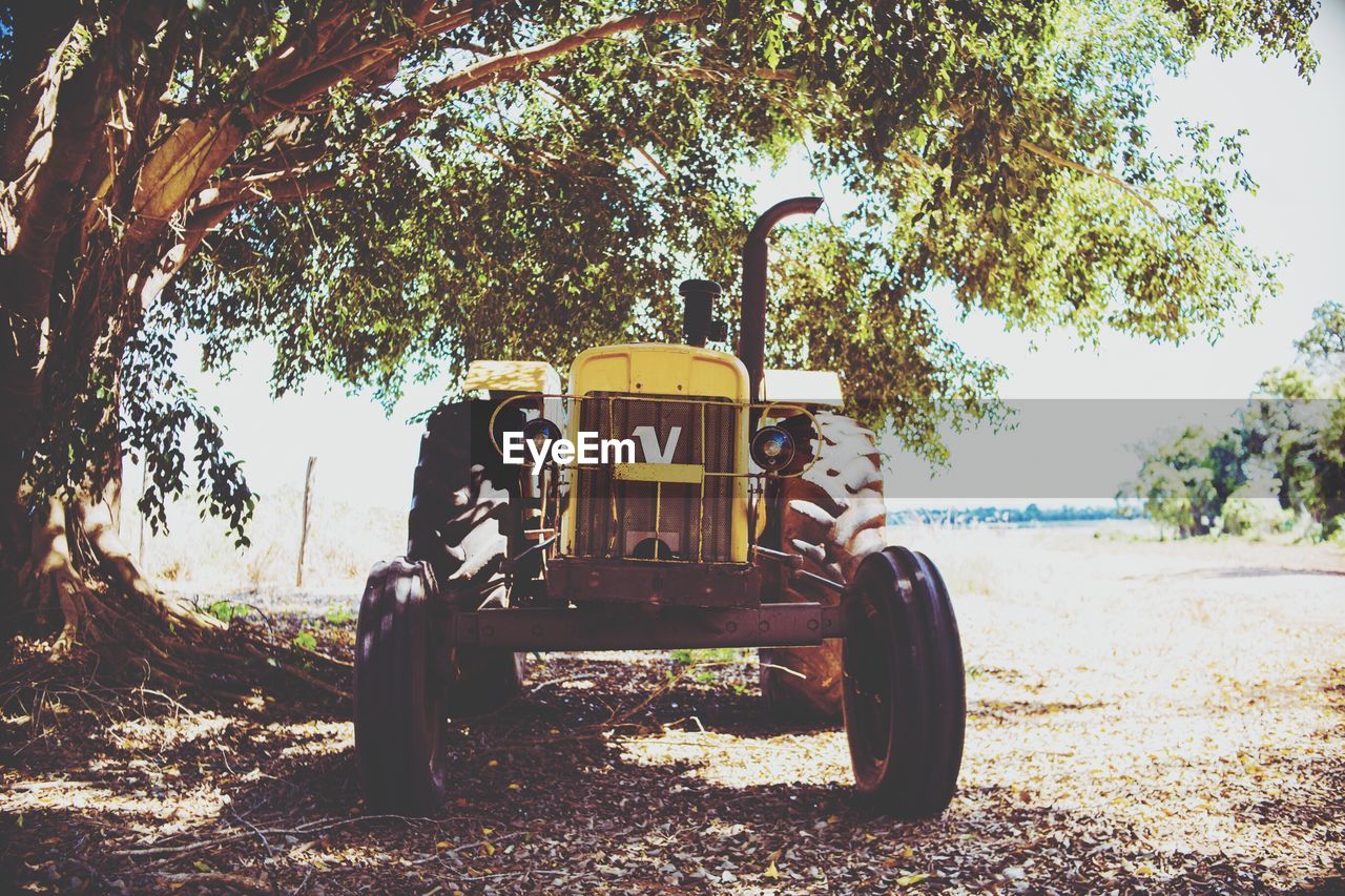 VINTAGE CAR ON TREE BY ROAD