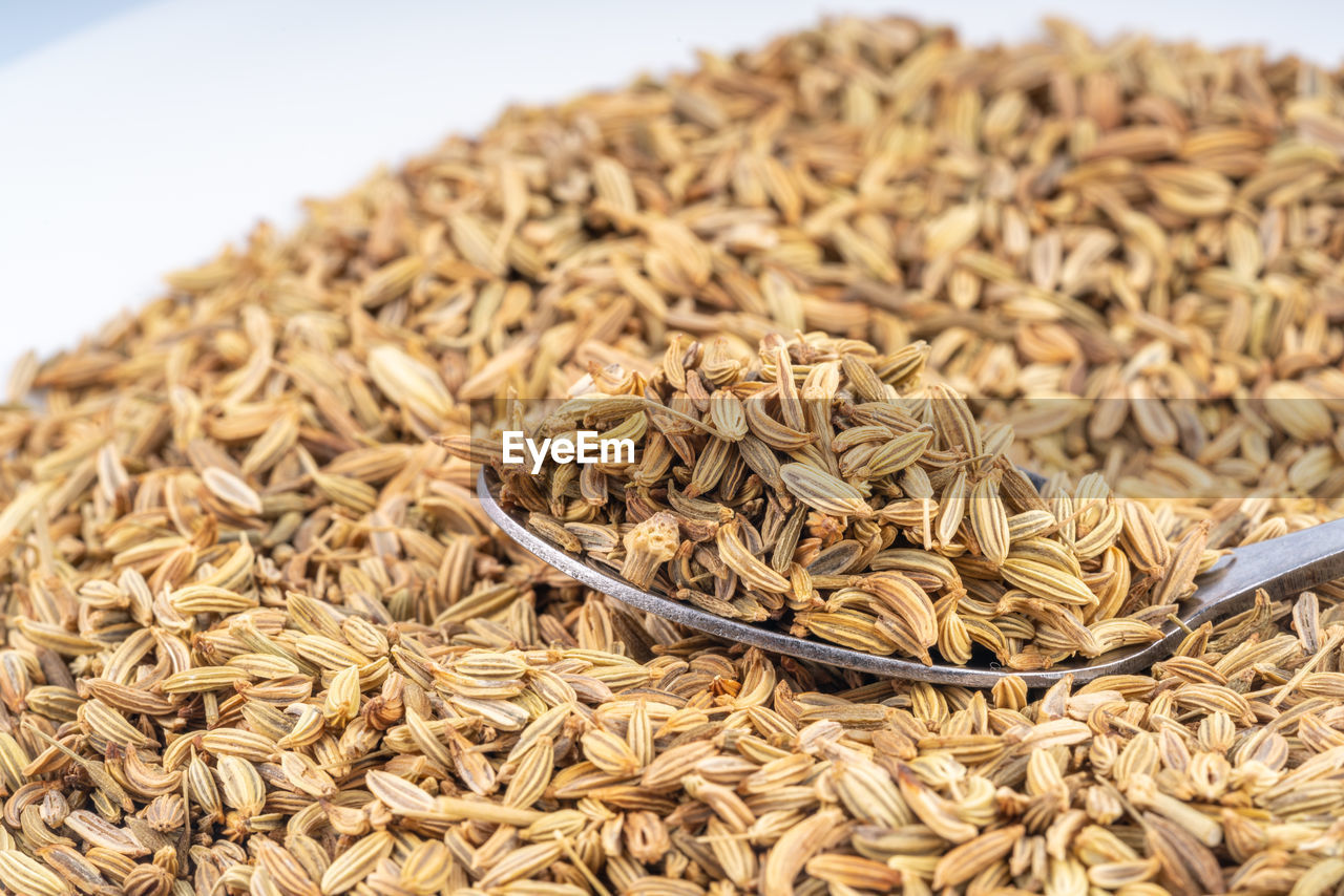 CLOSE-UP OF BREAD ON HAY