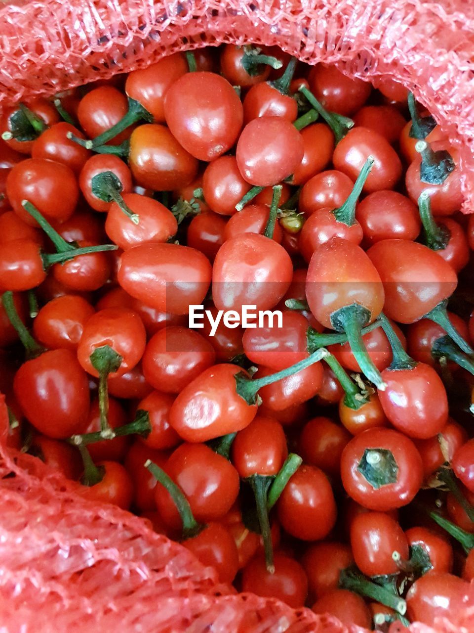 HIGH ANGLE VIEW OF TOMATOES IN MARKET