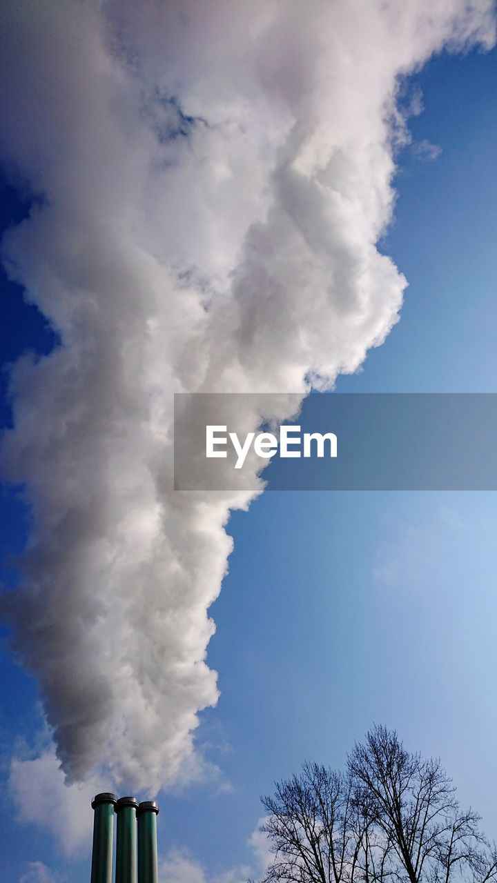 LOW ANGLE VIEW OF CLOUDY SKY OVER TREE