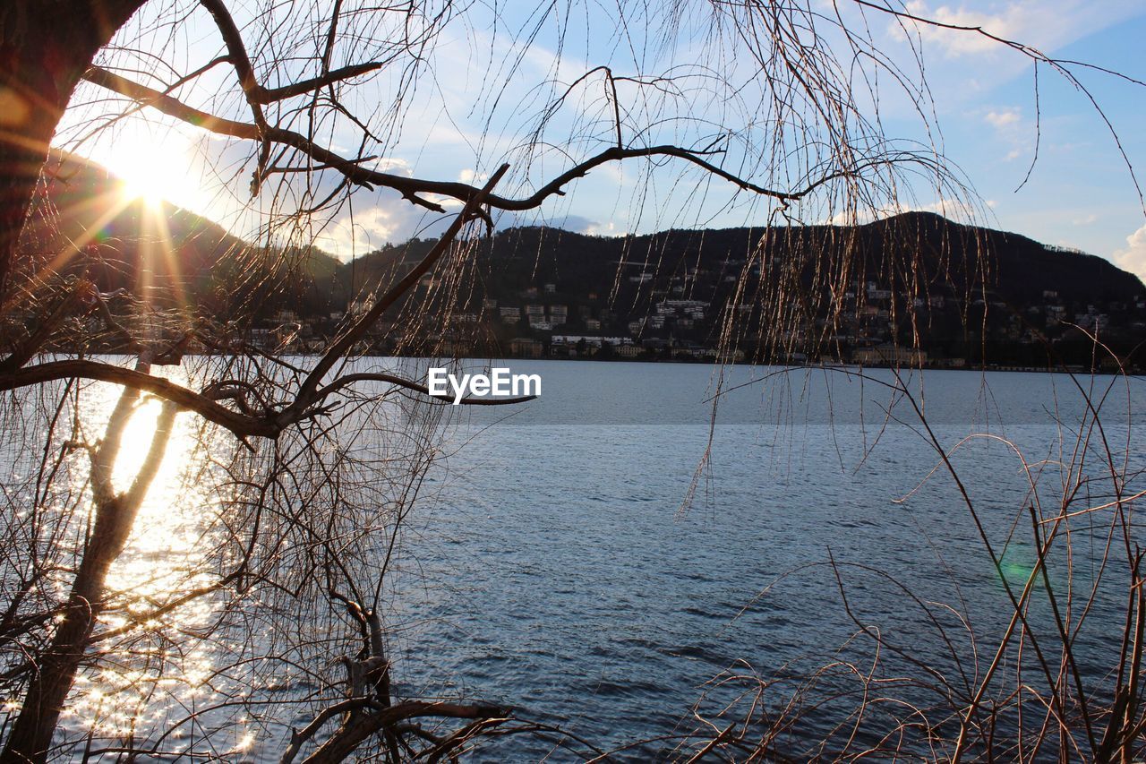 CLOSE-UP OF TREE BY LAKE AGAINST SKY