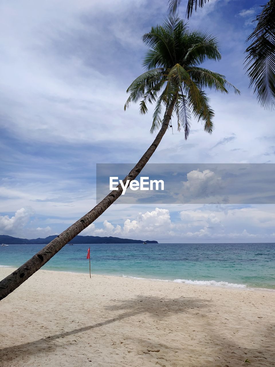 SCENIC VIEW OF PALM TREES ON BEACH AGAINST SKY