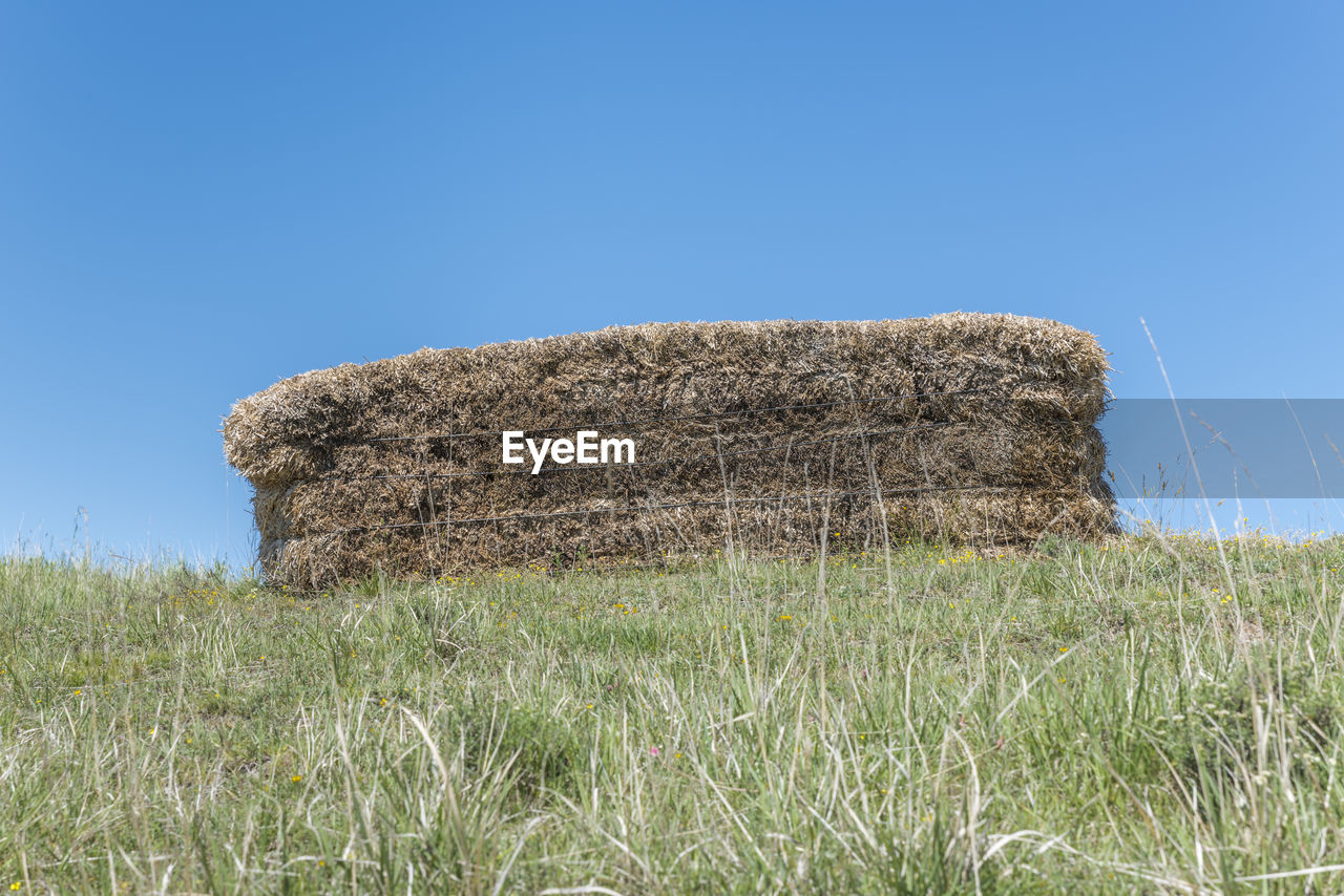 HAY BALES ON LANDSCAPE AGAINST CLEAR SKY